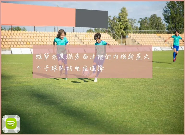 维萨尔展现多面才能的内线新星大个子球队的绝佳选择